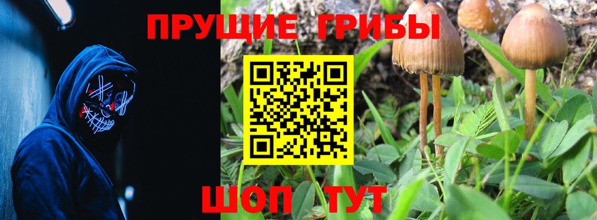Нововоронеж  Псилоцибиновые грибы MAGIC MUSHROOMS  Вход с VPN  Галлюциногенные грибы мицелий 