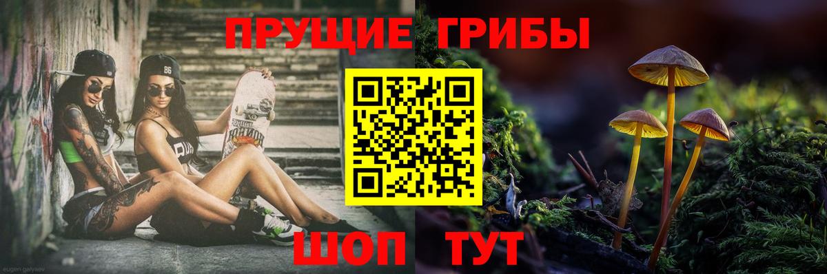 Псилоцибиновые грибы прущие грибы Нововоронеж